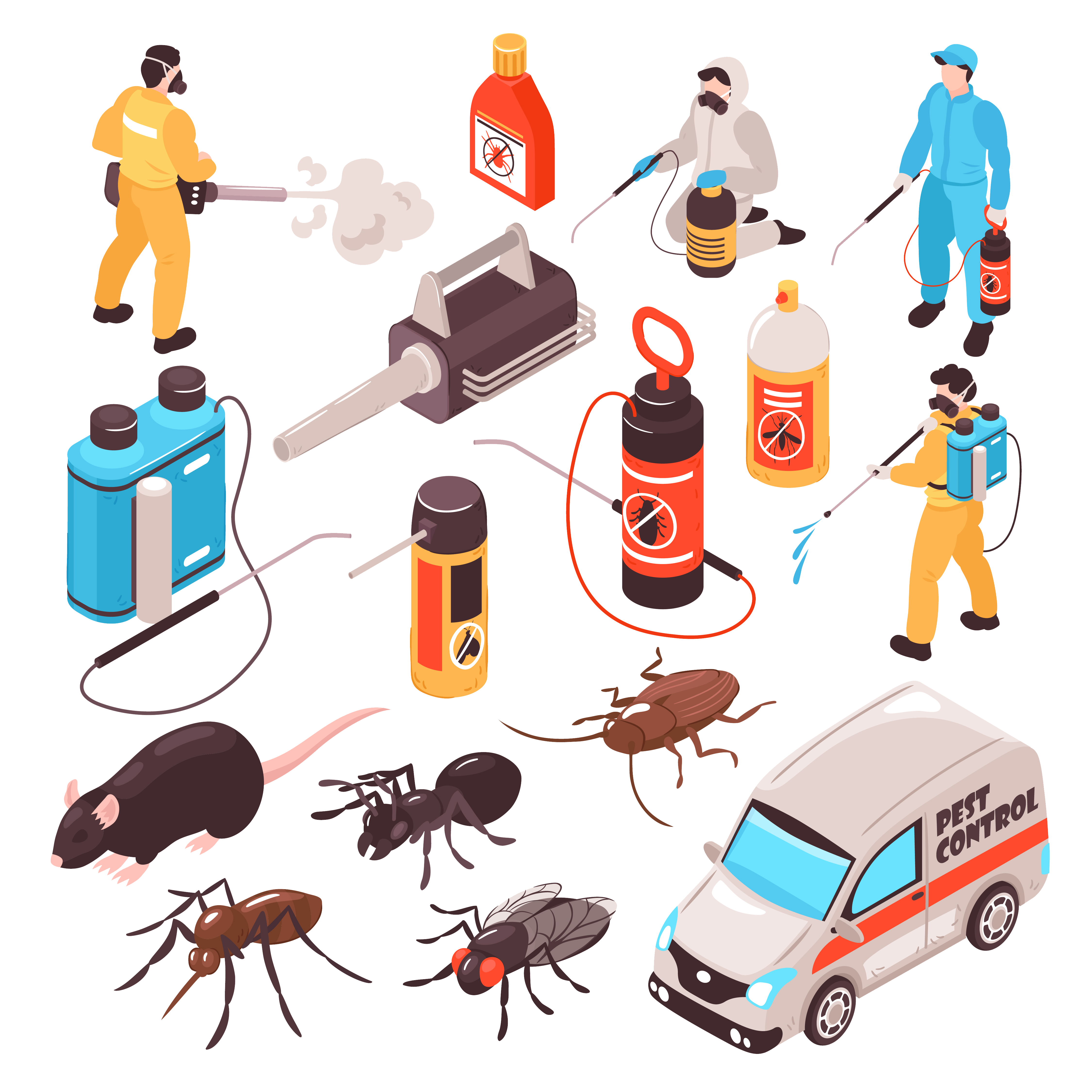 Dessin de différent nuisible avec des produits pour lutter contre eux